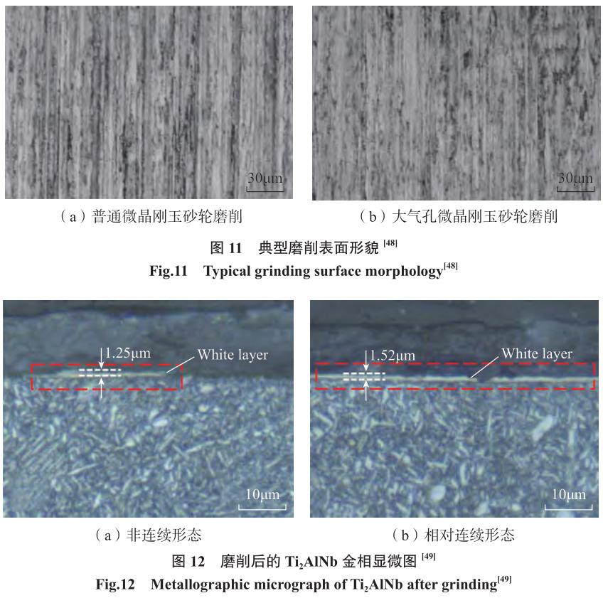 1692266041336883.jpg t11-12.jpg